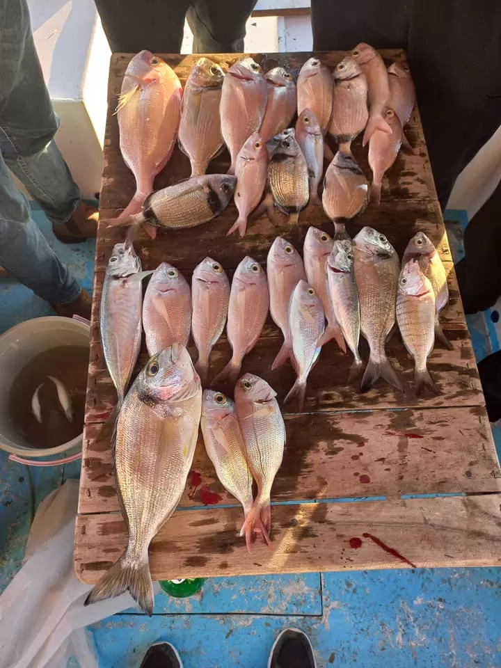 Özdere Sabah Balık Avı, Sabah Suyu 