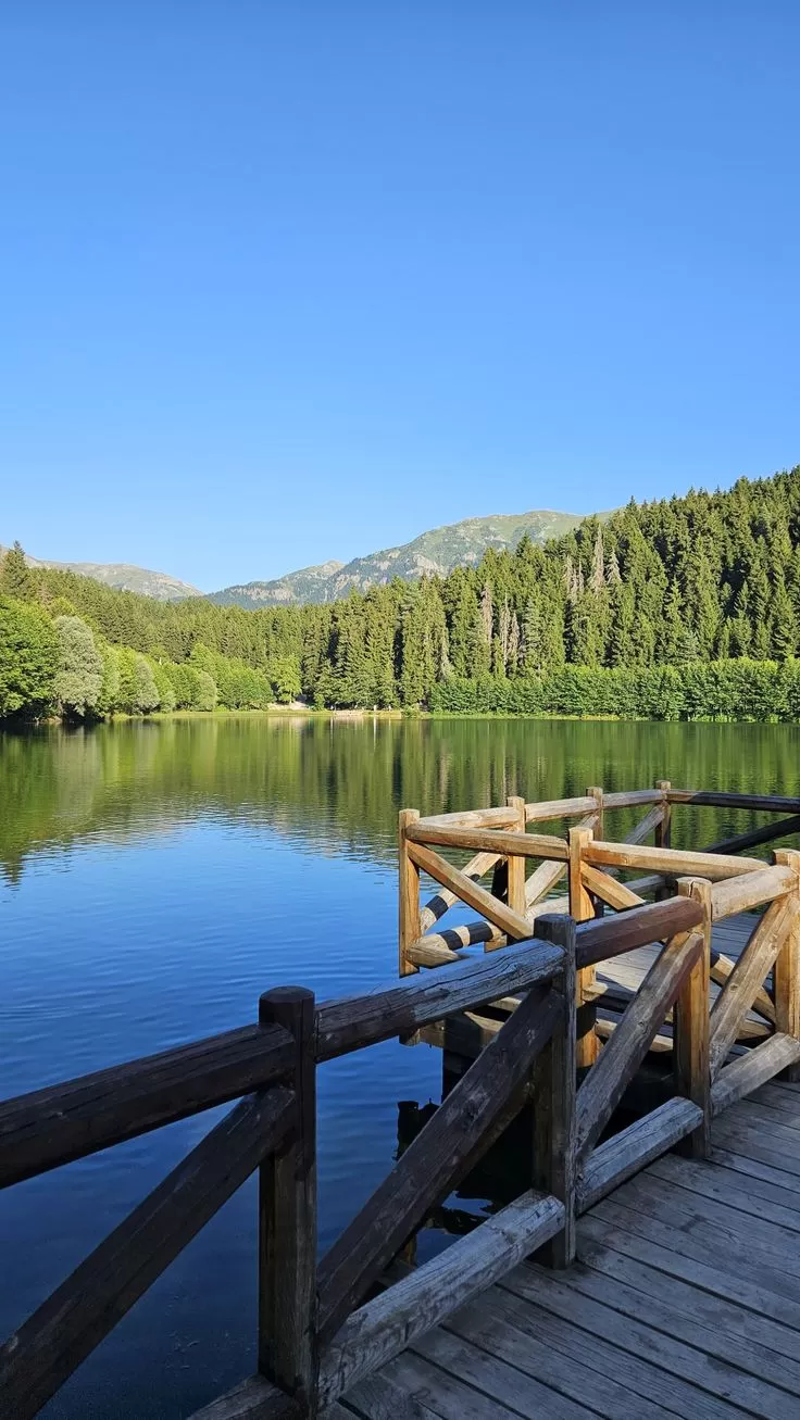 Şile Ağva Yedigöller Ormanya Abant Maşukiye Turu (1 Gece)