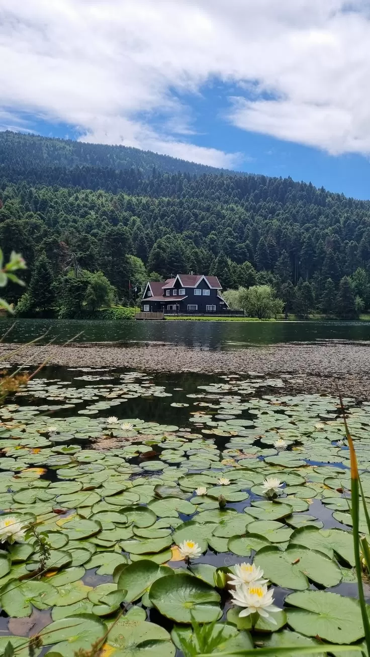 Batı Karadeniz Şile Ağva Yedigöller Turu(2 Gece)