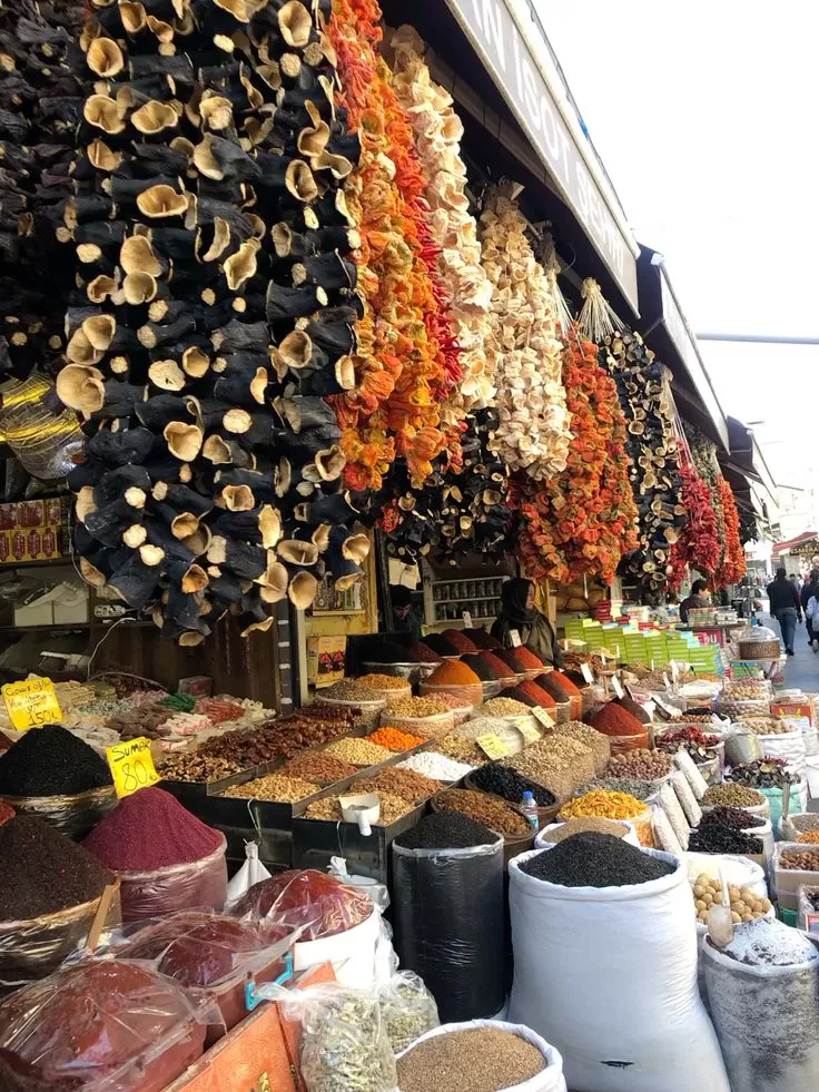 Ramazan Bayramı Mudanya Gölyazı Bursa Turu (1 Gece )