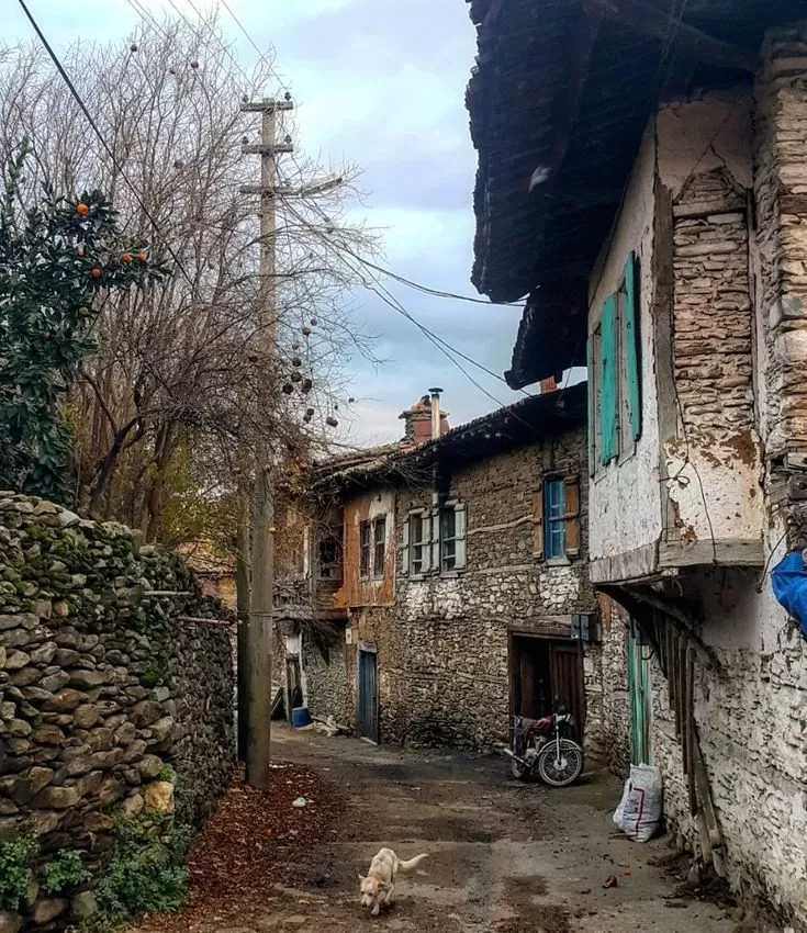 İzmir Çıkışlı Günübirlik Ödemiş Birgi Gölcük Bozdağ Turu (Kırkoluklar Çeşmesi)