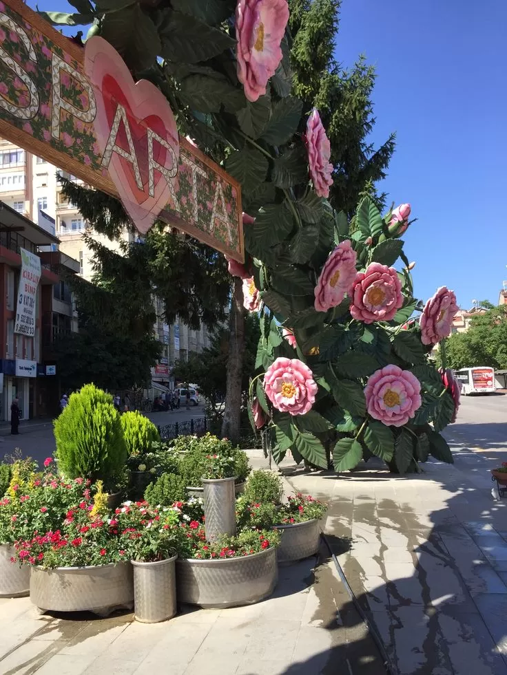 Günübirlik Isparta Lavanta Hasadı Turu