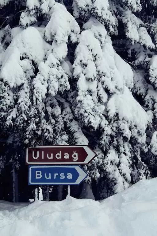 İzmir Çıkışlı Günübirlik Uludağ Kayak ve Gölyazı Turu( Kahvaltı Dahil)