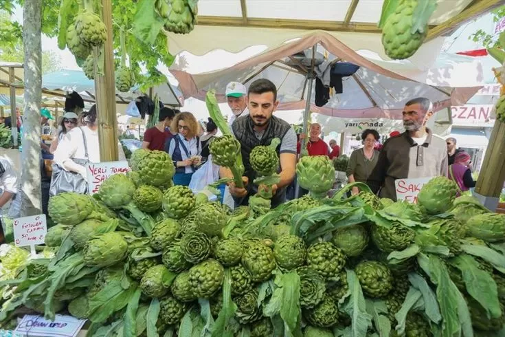 İzmir Çıkışlı Günübirlik Urla Enginar Festivali Turu