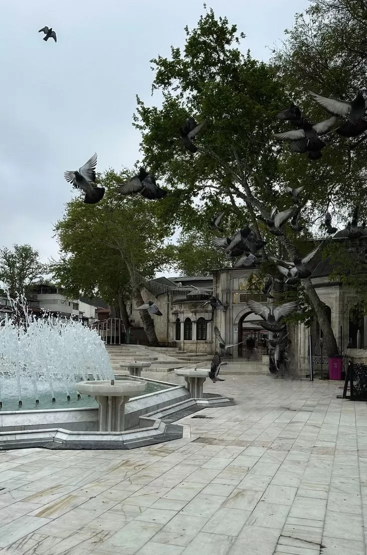 İzmir Çıkışlı İstanbul Tarihi Camii Turları (2 Gece), 2026 Fiyat İstanbul Turu