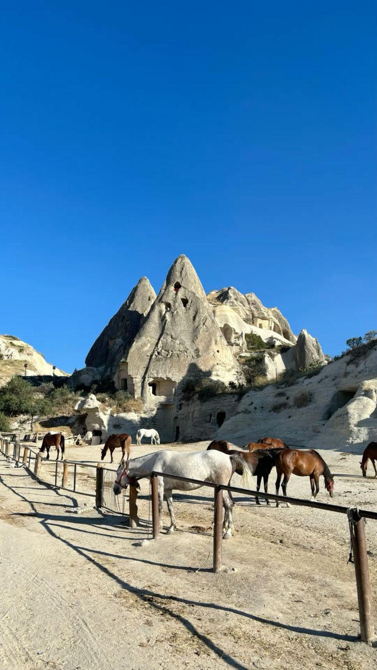 İzmir Çıkışlı Kapadokya Turları, 1 Gece Konaklama 2025