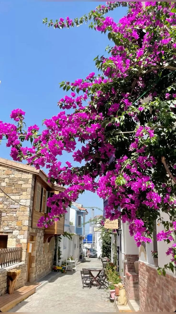 Kurban Bayramı Bozcaada Assos Turu (2 Gün 1 Gece)