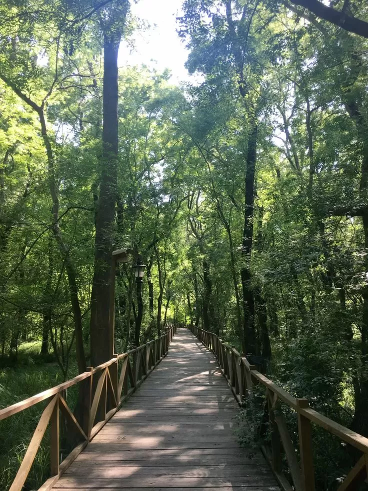 İzmir Çıkışlı Kurban Bayramı Günübirlik Ayvalık Cunda Kazdağları Turu