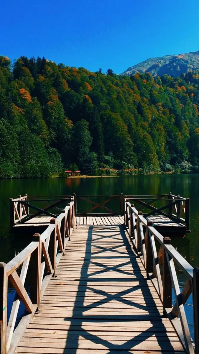 Kurban Bayramı Şile Ağva Yedigöller Abant Ormanya Maşukiye Turu (1 Gece Konaklamalı)
