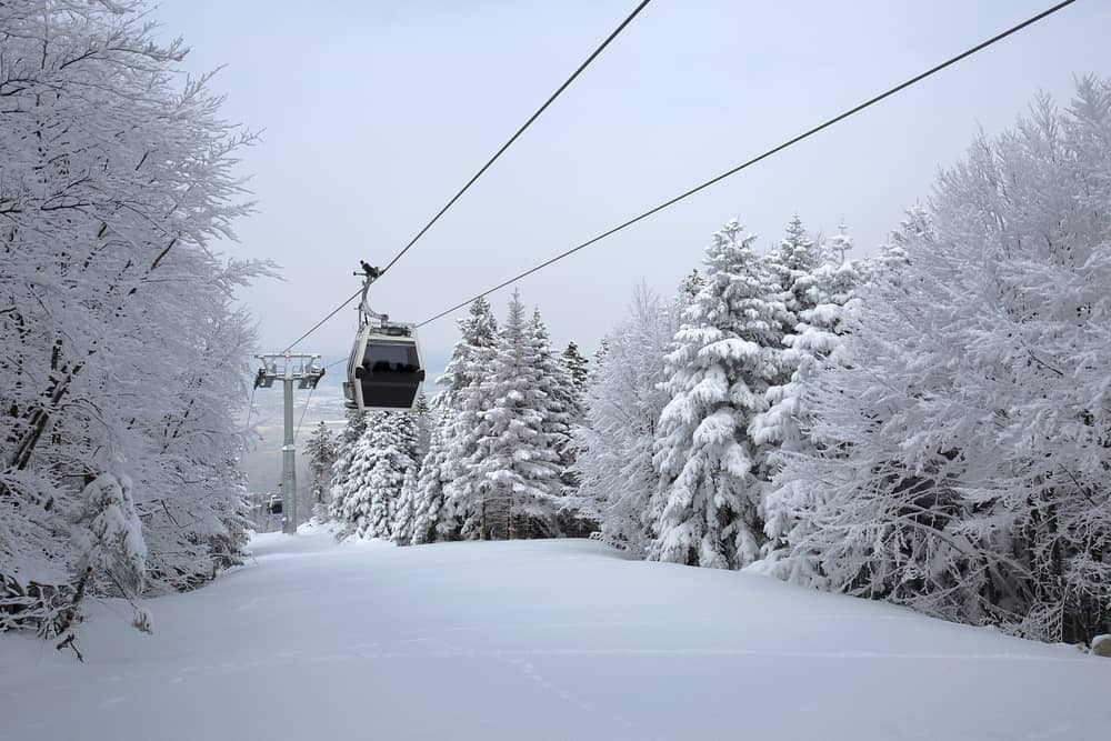 İzmir Çıkışlı Yılbaşı Uludağ Turu(2 Gece Sınırsız İçkili)