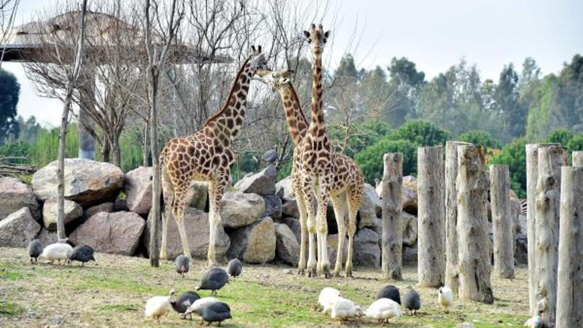 İzmir Doğal Yaşam Parkı 1