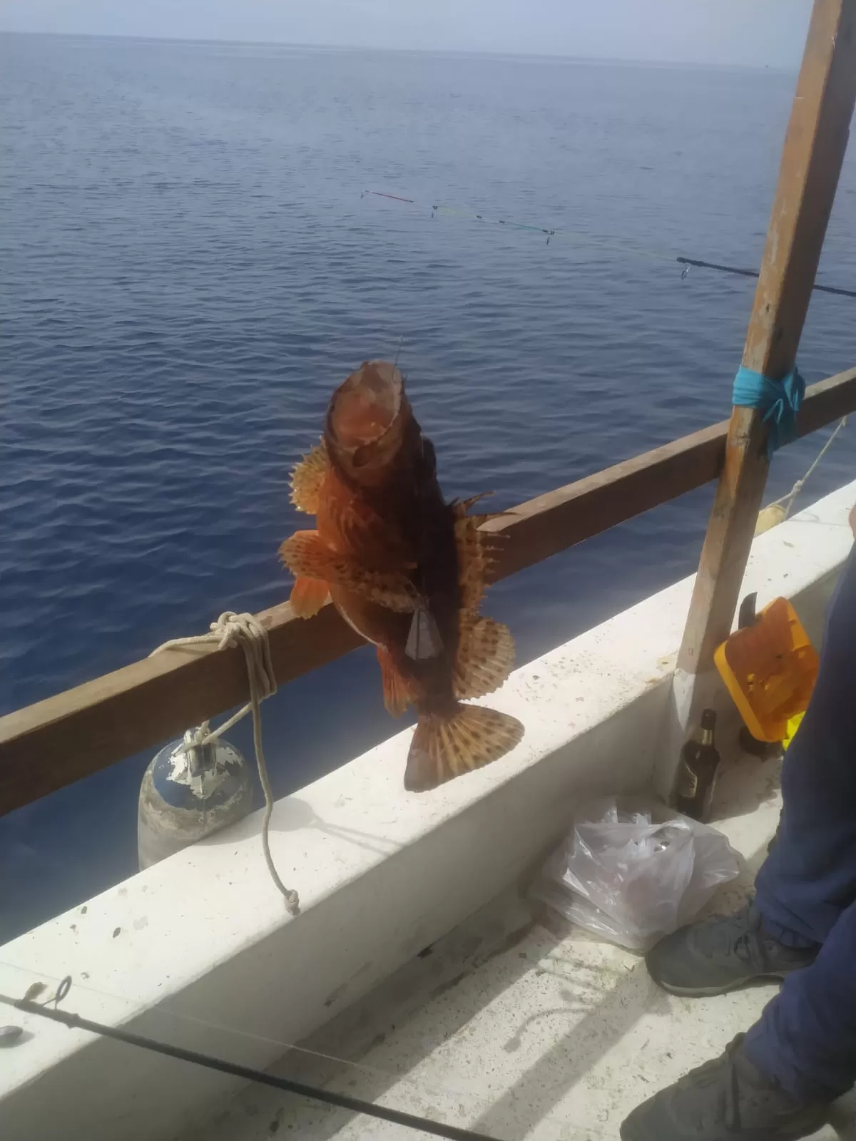 İzmir Gümüldür Balık Turları (Akşam Suyu)