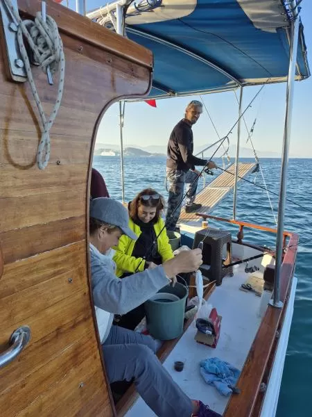 Kuşadası Balık Turu, Grup, Bireysel Turlar