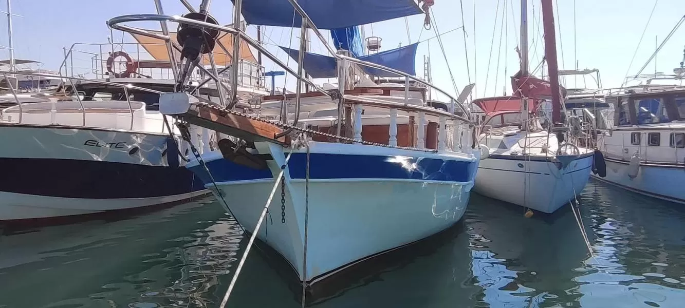 Kuşadası Balık Turu, Grup, Bireysel Turlar