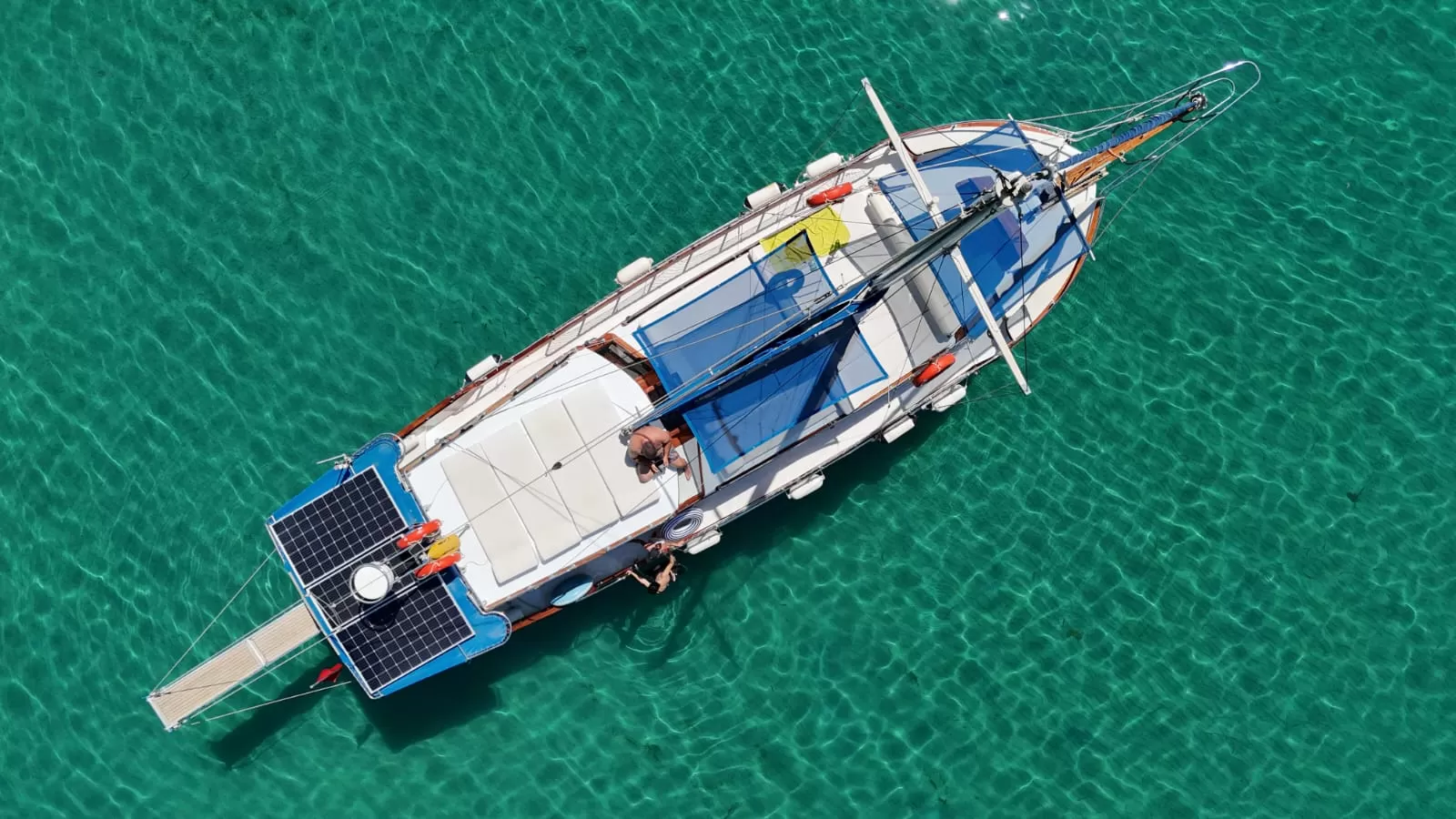 Kuşadası Balık Turu, Grup, Bireysel Turlar