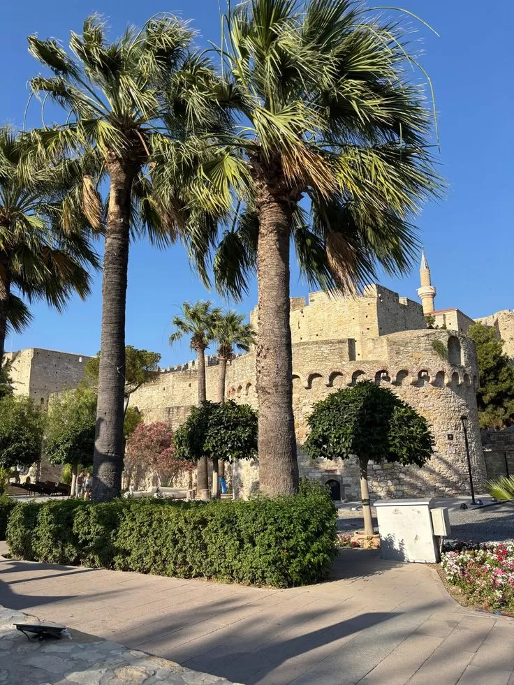 Varsayılan Alt Metin