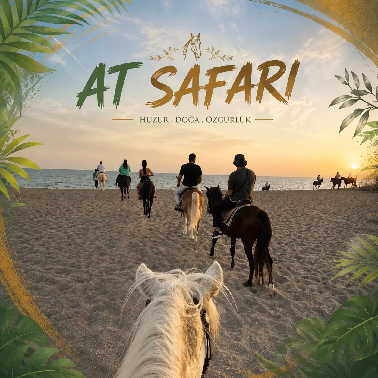 Özdere At Safari, Grup ve Bireysel Turlar