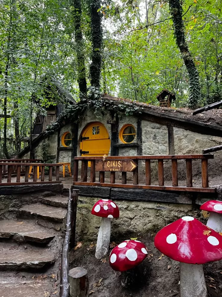 Şile Ağva Yedigöller Ormanya Abant Maşukiye (1 Gece)