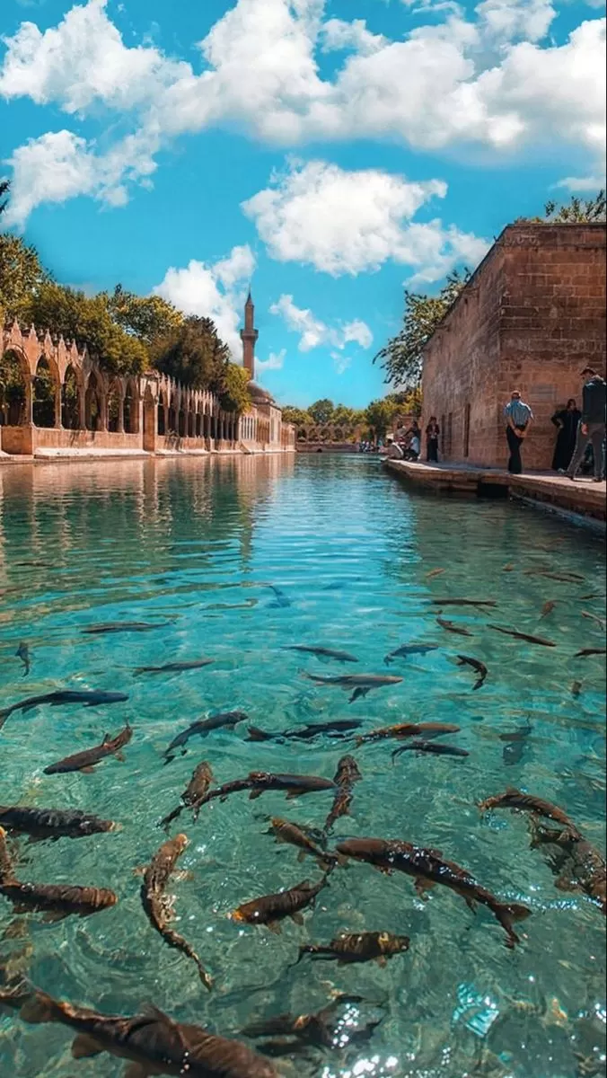 Uçaklı Büyük GAP ve Doğu Anadolu Turu (6 Gece Konaklama) 2026