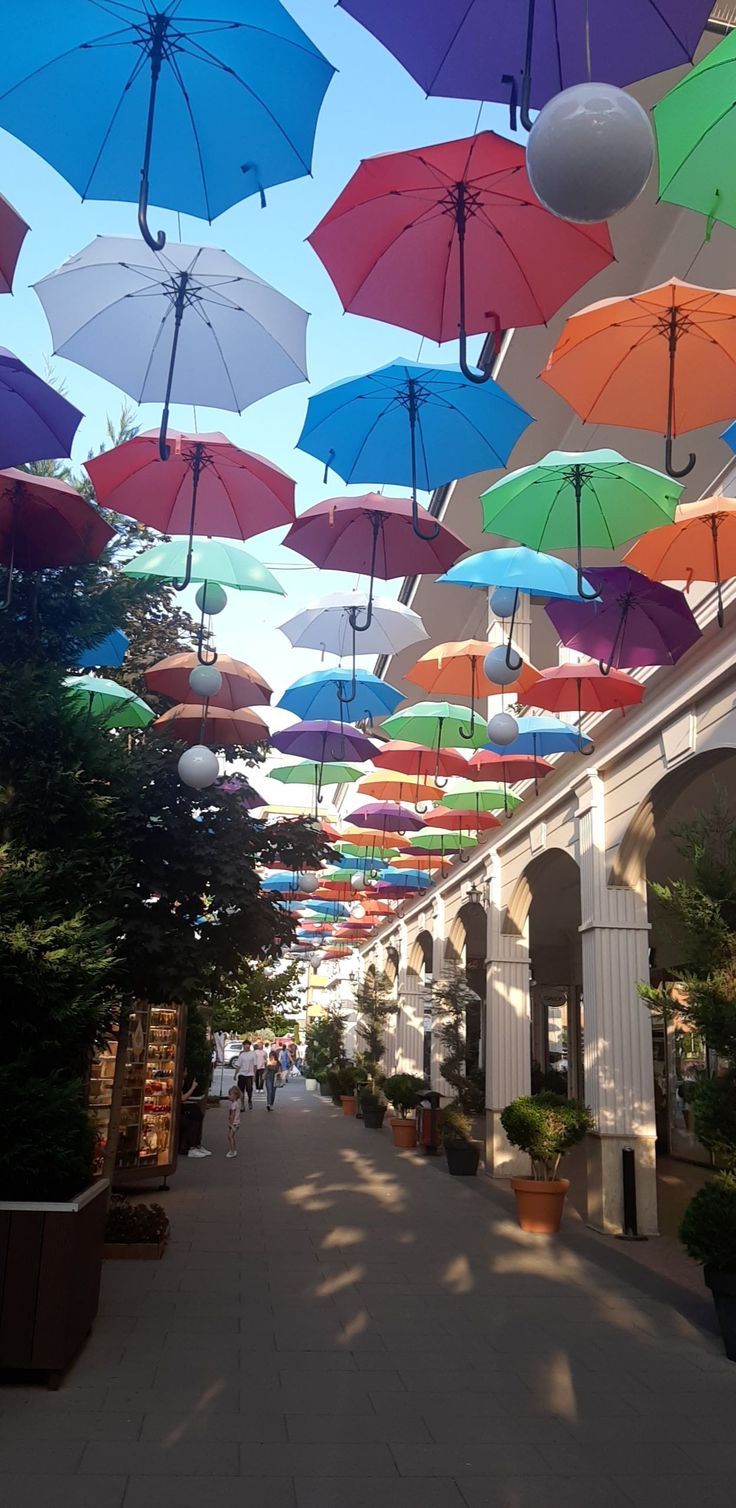 Uçaklı Vizesiz Büyük Balkan Turu, İzmir'den Direk Uçuş