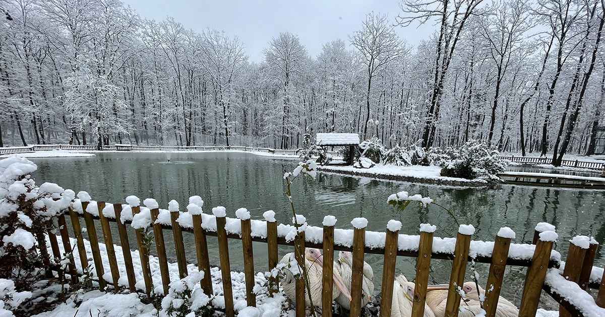 Yılbaşı Abant Kartepe Ve Uludağ Turu - Kar Keyfi- Gala Dahil