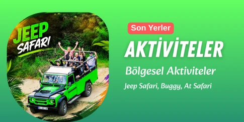 Aktiviteler